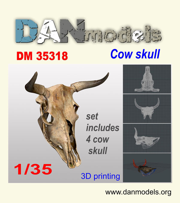 DM 35318 Cow skull. resin 3D