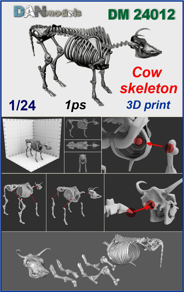 DM 24012 Cow skeleton. 1/24. 1 ps
