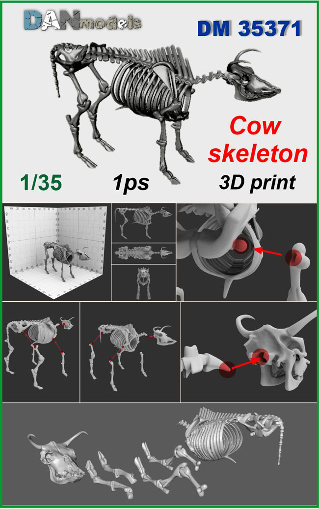 DM 35371 Cow skeleton. scale 1\35. 1 ps