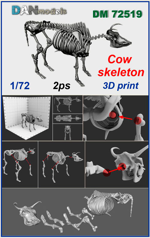 DM 72519 Cow skeleton. 1/72. 2 ps